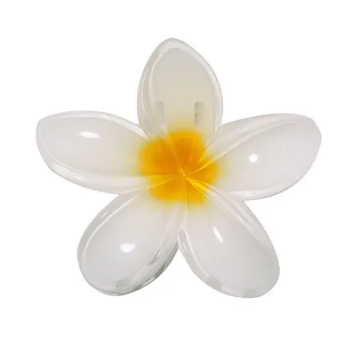 Pince à cheveux Tixcon