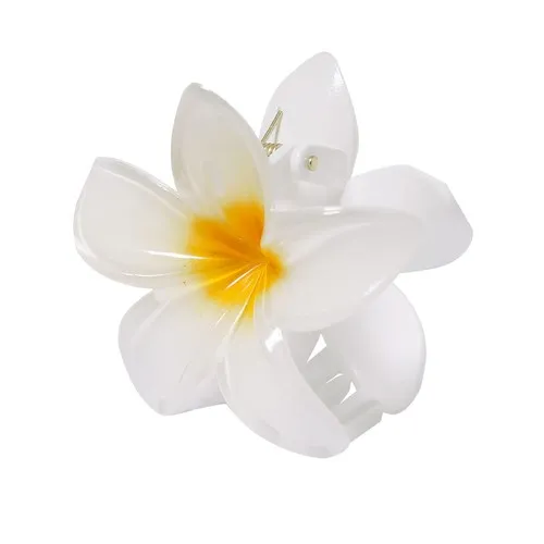 Pince à cheveux Tixcon 4 Pince à cheveux Tixcon