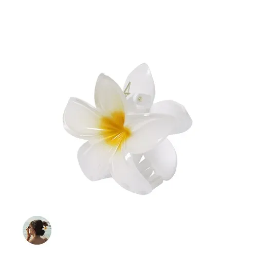 Pince à cheveux Tixcon 2 Pince à cheveux Tixcon