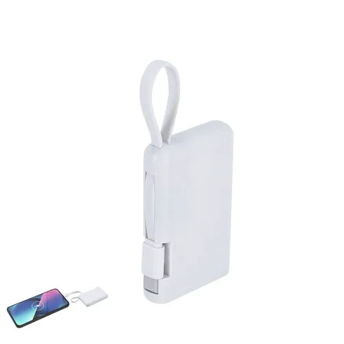 Power Bank Brandin