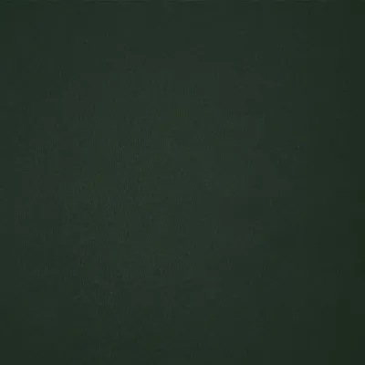 T-Shirt Adulte Couleur Epika