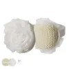 Éponge Exfoliante Worin