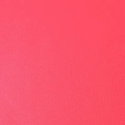 T-Shirt Femme Cocker