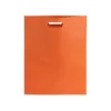 3000-3200-variantes-3200-007-P-id450-fev26 Sac Blaster