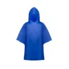 Poncho Teo