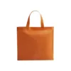 4000-4170-variantes-4170-007-P-id450-fev26 Sac Nox