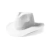 Chapeau Hindyp