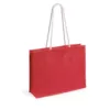 4000-4883-variantes-4883-003-P-id450-fev26 Sac Hintol
