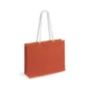4000-4883-variantes-4883-007-P-id450-fev26 Sac Hintol