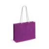 4000-4883-variantes-4883-011-P-id450-fev26 Sac Hintol