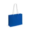 4000-4883-variantes-4883-019-P-id450-fev26 Sac Hintol