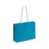 4000-4883-variantes-4883-021-P-id450-fev26 Sac Hintol