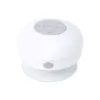 Haut-Parleur Rariax
