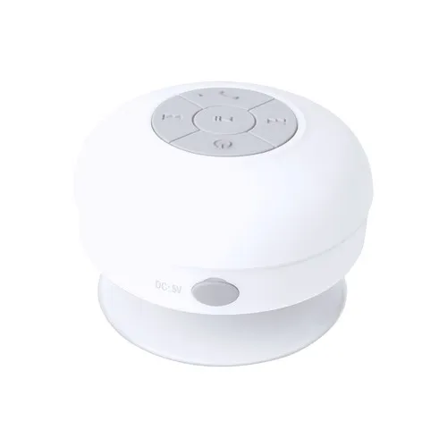 Haut-Parleur Rariax