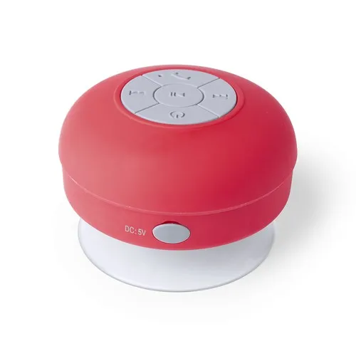4000-4929-variantes-4929-003-P-id450-fev26 Haut-Parleur Rariax