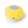 Haut-Parleur Rariax