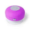 Haut-Parleur Rariax