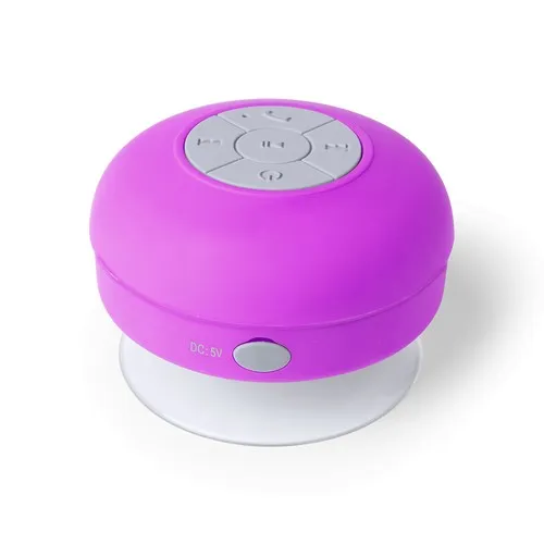 Haut-Parleur Rariax