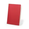 Cahier Dienel