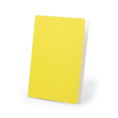 Cahier Dienel