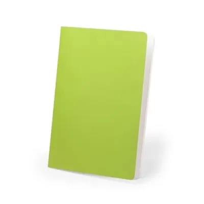 Cahier Dienel vert clair 1 Cahier Dienel