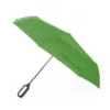 Parapluie Brosmon vert 1 Parapluie Brosmon