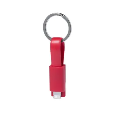 Câble de Charge Holnier