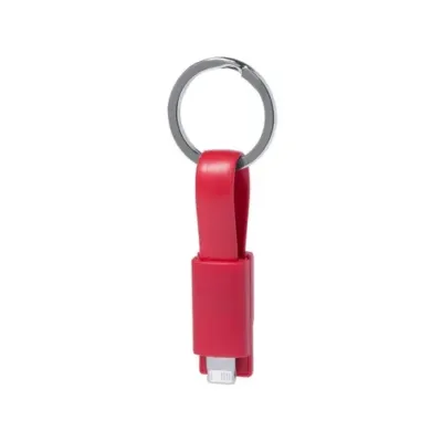 Câble de Charge Holnier
