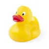 Canard Koldy