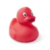 Canard Koldy
