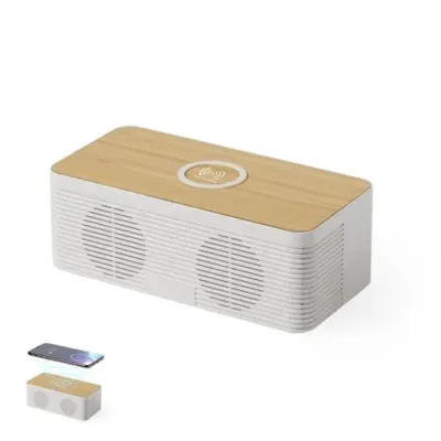 Haut-Parleurs Chargeur Trecam