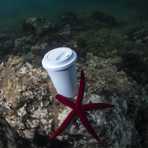 Verre Petel 3 Verre Petel