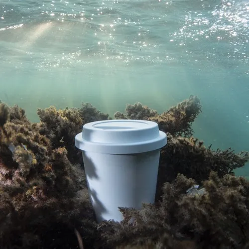 Verre Petel 8 Verre Petel