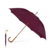 Parapluie Santy