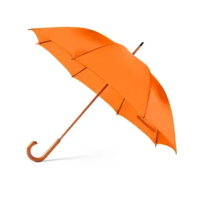 Parapluie Santy
