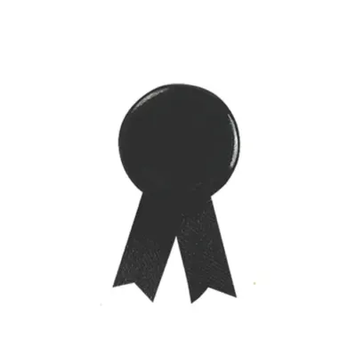 Pin's Ruban Solidario