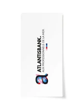 ETIQUETTES BRISTOL 55X28 mm IMPRIMEES QUADRI RECTO SEUL EN SAC DE 100