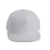 Casquette Snapback - 5 panneaux