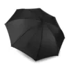 Parapluie automatique
