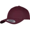 Casquette Snapback classique incurvée