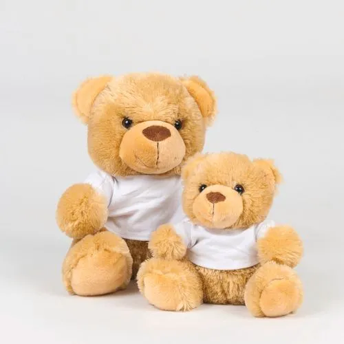 Ours en peluche avec t-shirt