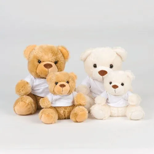 Ours en peluche avec t-shirt