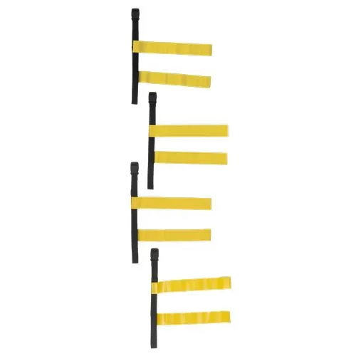 Tag belt