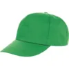 Casquette Houston
