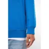 Sweat-shirt capuche contrastée homme 4 Sweat-shirt capuche contrastée homme