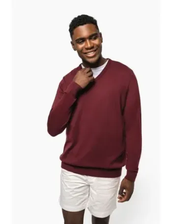 Pull col V homme 1 Pull col V homme