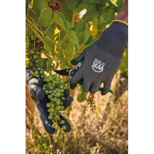 Gants tactiles de protection contre les coupures