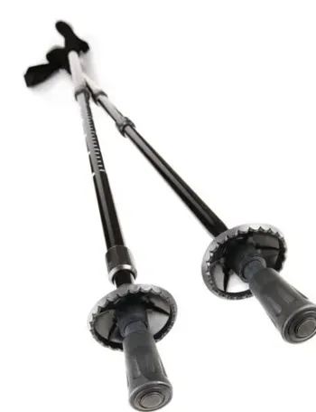 Bâton de trekking 1 Bâton de trekking