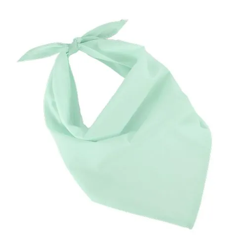 Fiesta – Bandana bleu vert 1 Fiesta - Bandana