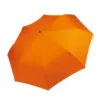 Mini parapluie pliable